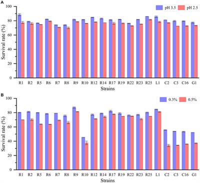 Screening and characterization of lactic acid bacteria and fermentation of gamma-aminobutyric acid-enriched bamboo shoots